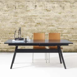 SM11 Table de séjour scandinave extensible en bois