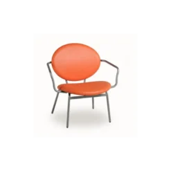 Titan Carrier® Fauteuil confort pour personne à forte corpulence